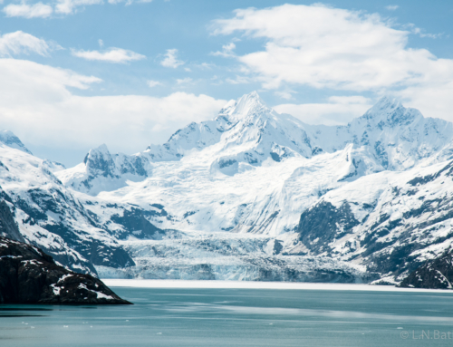 Adventures in Alaska