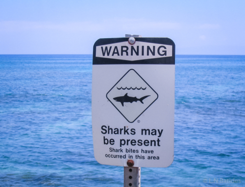 Hawaii | Maui